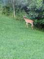 246 Nydeck Rd - Photo 30