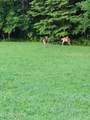 246 Nydeck Rd - Photo 31
