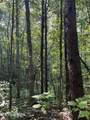 552 New Providence Rd - Photo 2