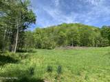 1088 Jones Ridge Rd - Photo 37