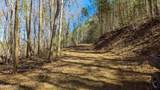  Carrs Creek   14 Acres Rd - Photo 7