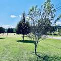 2970 Boyds Creek Hwy - Photo 38