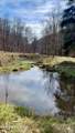 1088 Jones Ridge Rd - Photo 40
