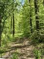 1088 Jones Ridge Rd - Photo 43