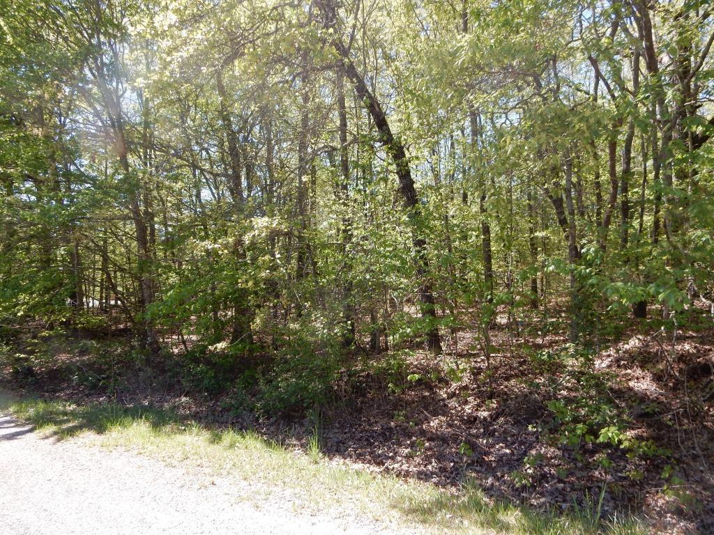 145 Dalefield Loop - Photo 1