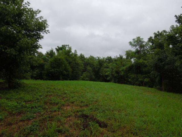 55.83 Ac Maberry Lane Lane - Photo 1