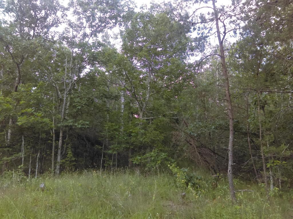 2125 Coweta Drive - Photo 1