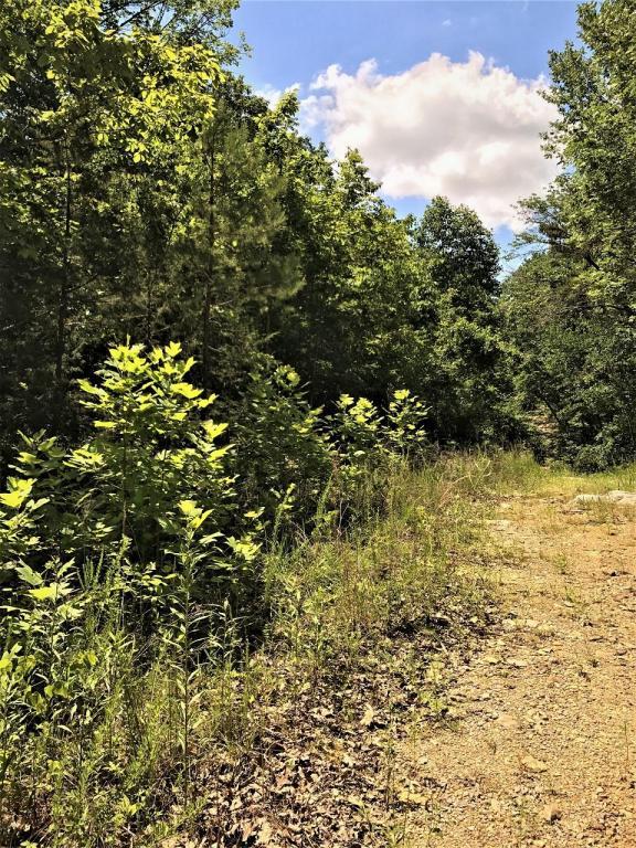 Lot 330 Diana Drive - Photo 1