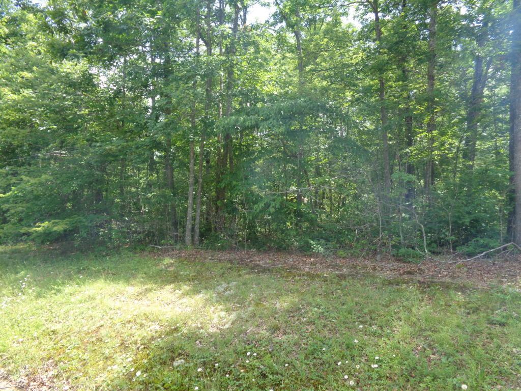 Laurel Loop - Photo 1