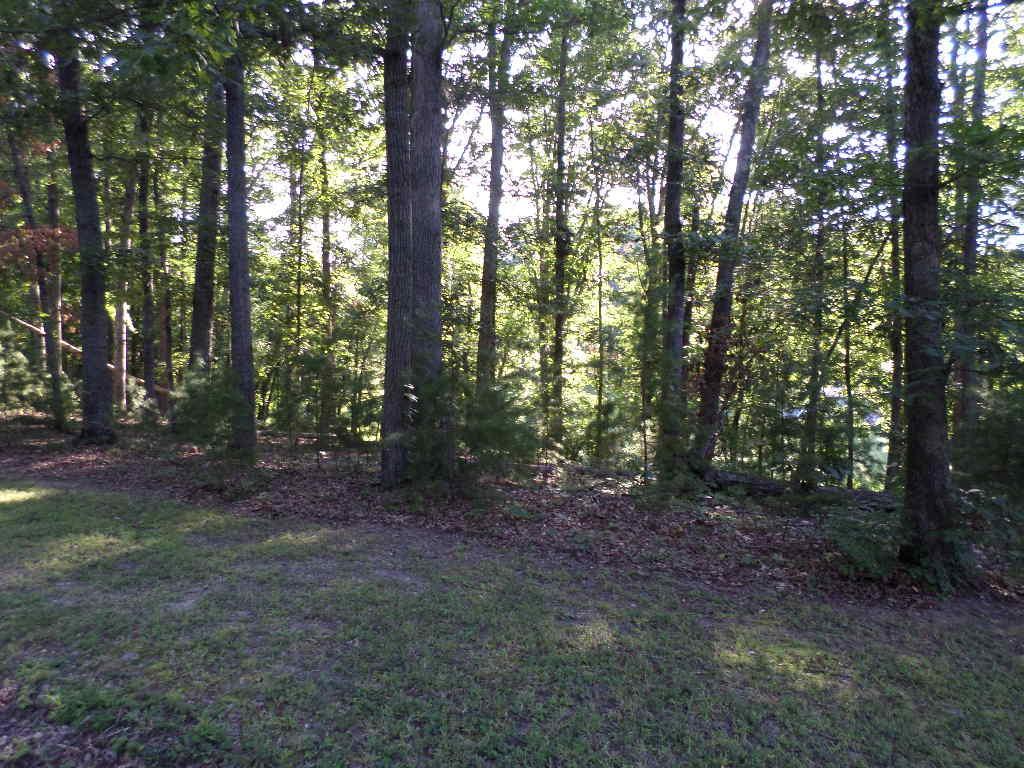 Lot 3 Cobblestone Lane - Photo 1