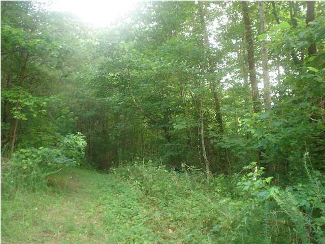 1127 Montgomery Rd - Photo 1