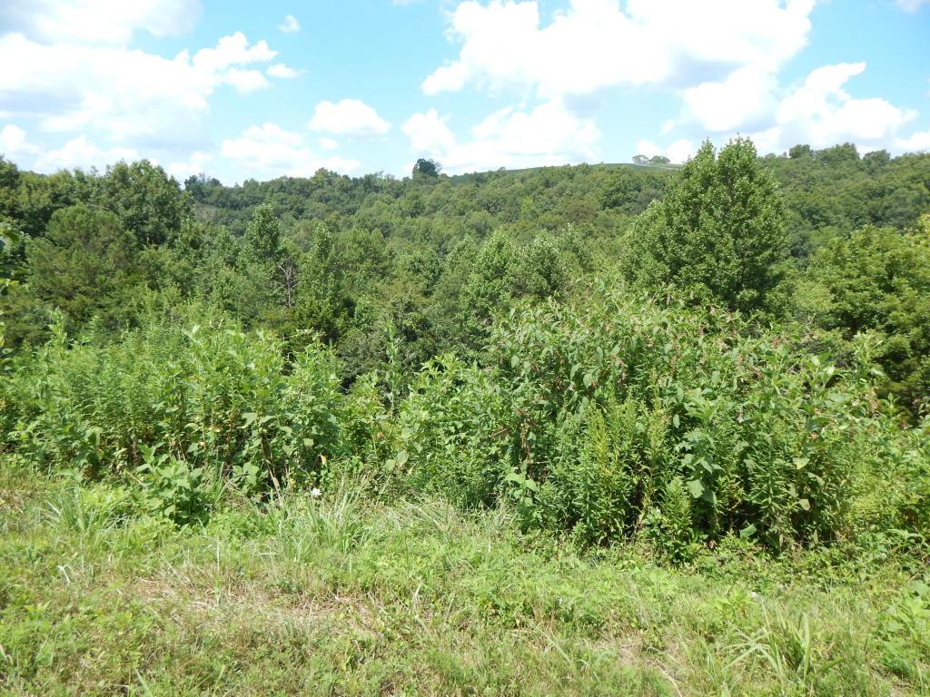 Lot 254 Marble Point Way - Photo 1