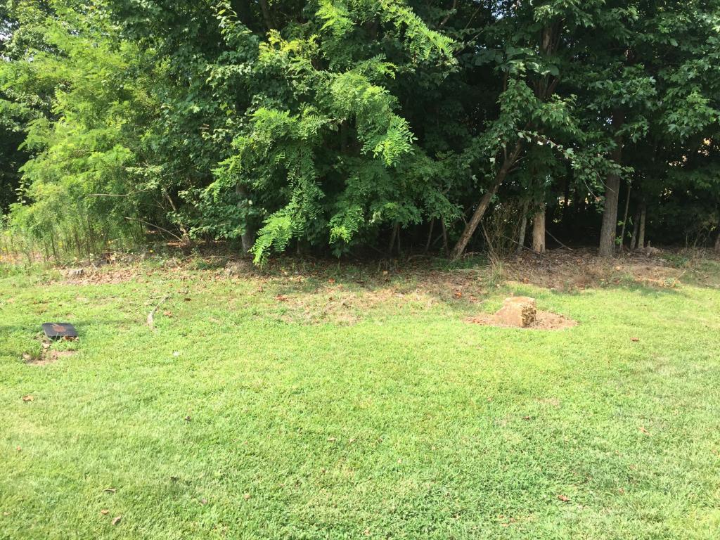 Silver View Lane - Photo 1