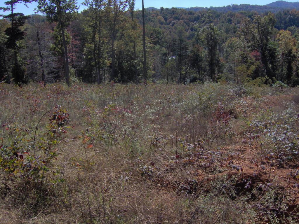 Gregory Lane - Photo 1