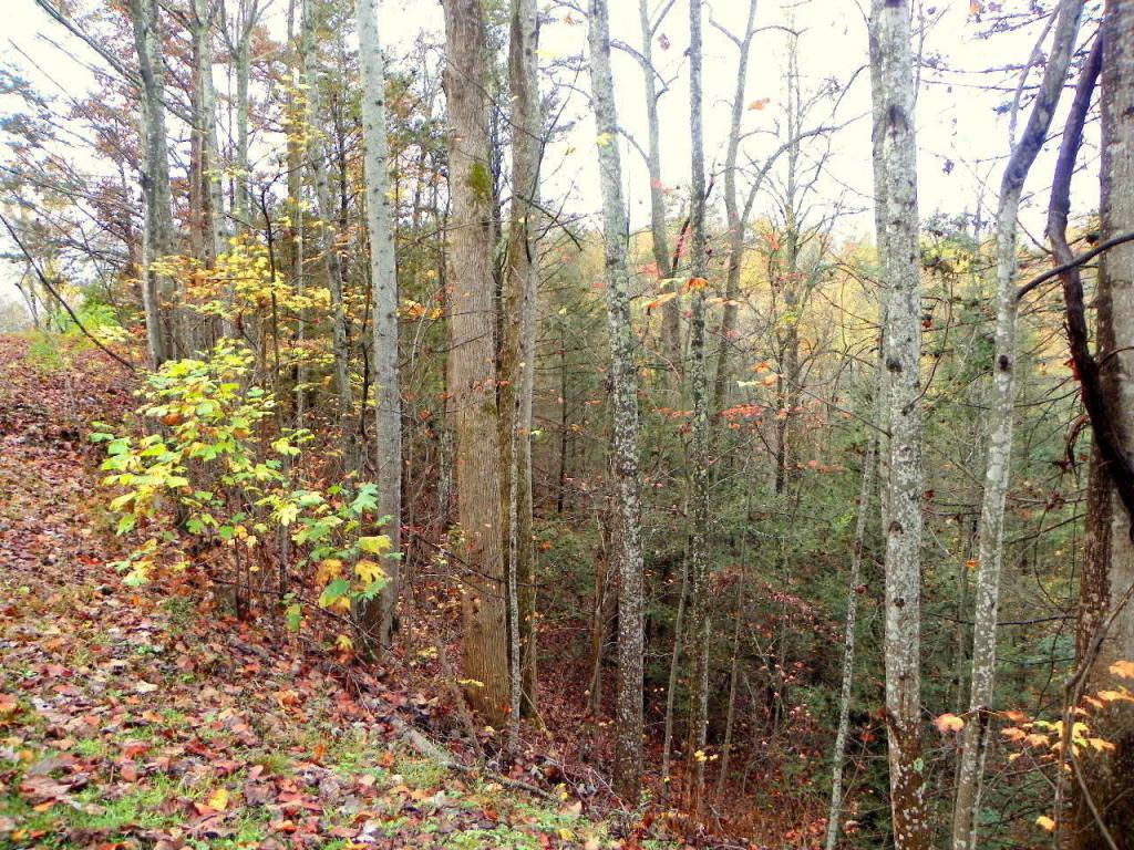 Lot# 8 Pinetree Way - Photo 1