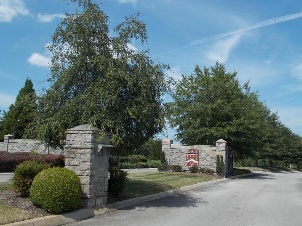Lot 8 Rankin Ferry Loop - Photo 1