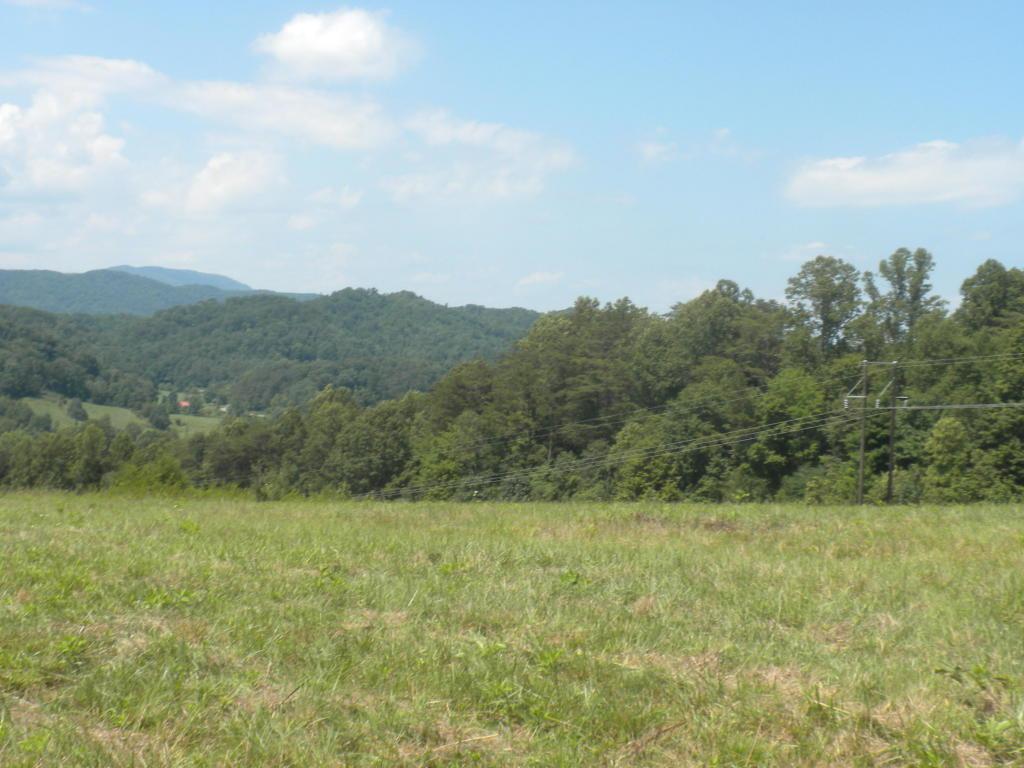 1689 Sulphur Springs Rd - Photo 1