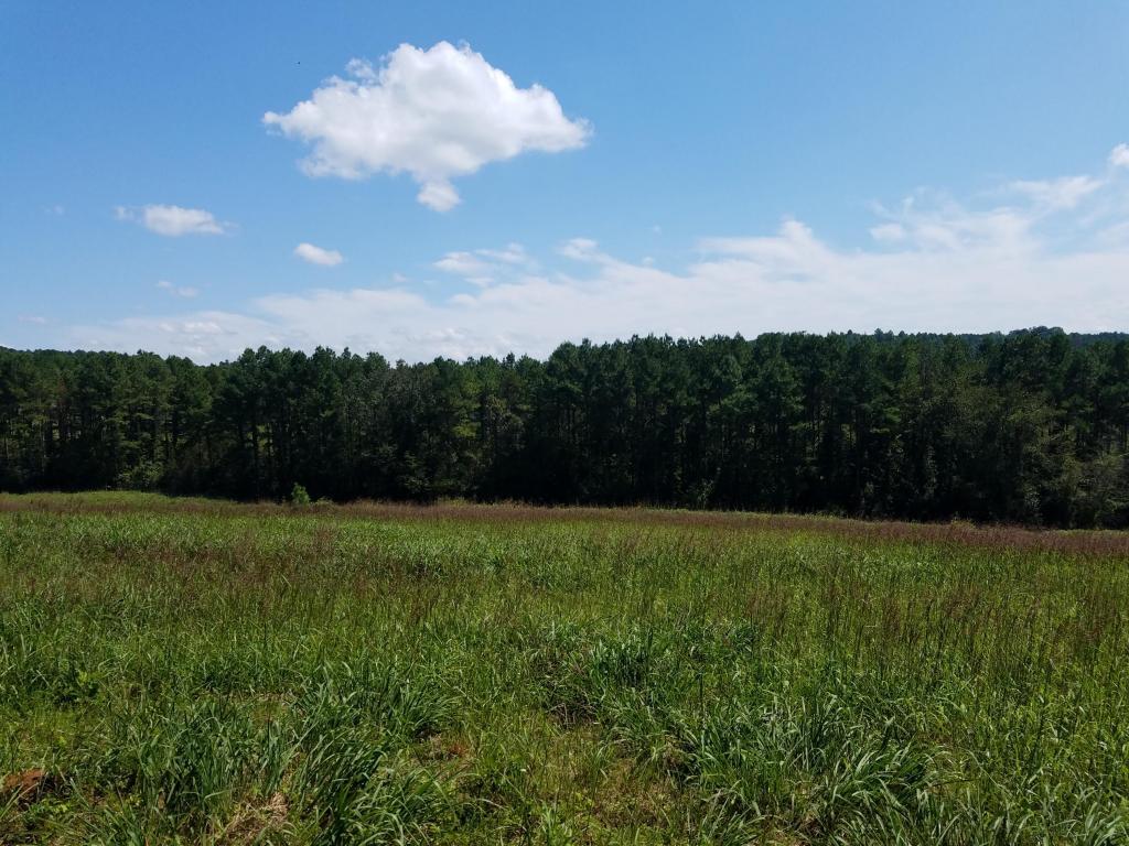 Lot #32 Tommy Loop - Photo 1