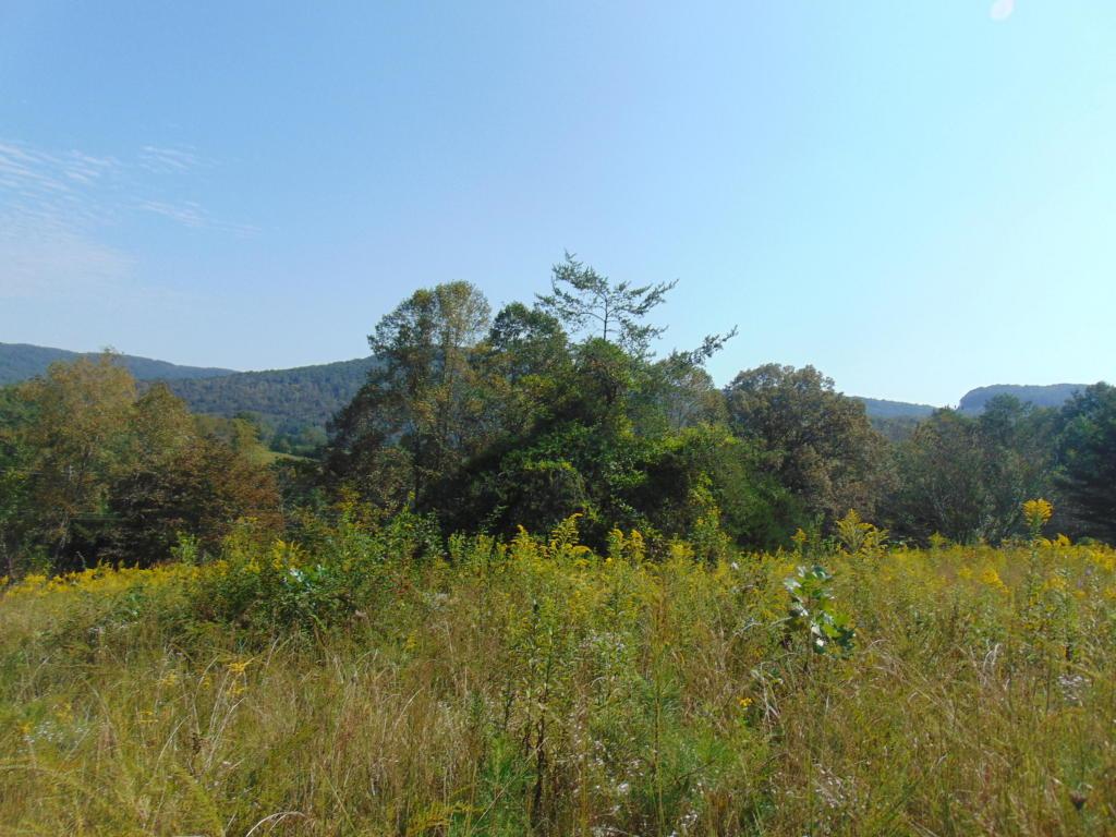 Hwy 52 - Photo 1