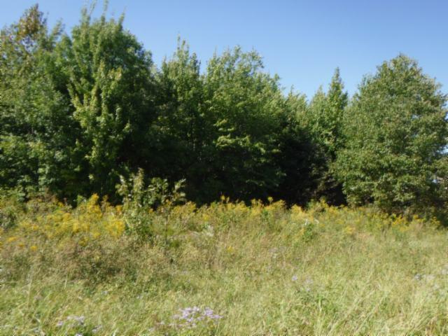 Lot 1,2 Airport Road - Photo 1