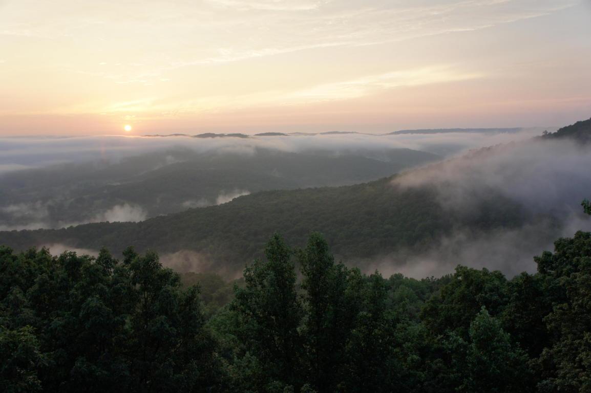 Eagle Roost - Photo 1