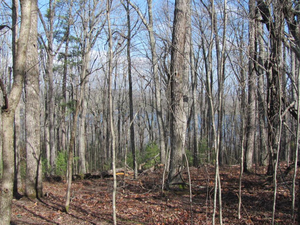 146 Markham Lane - Photo 1