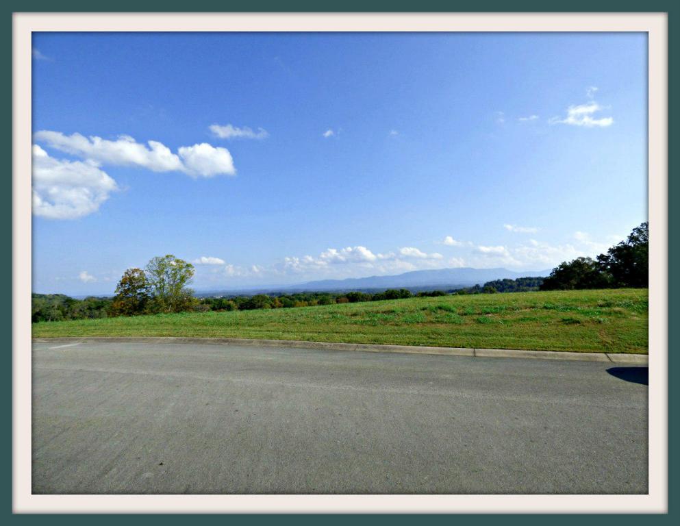 Lot 9 Hilltop View Drive - Photo 1