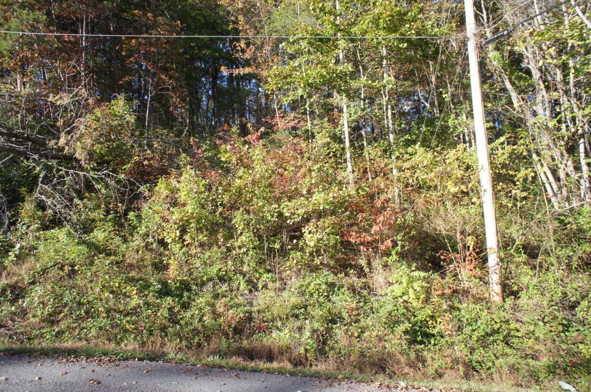 Lot 20 Bakers Circle - Photo 1