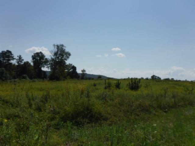 6.21 Ac. Jared Road Rd - Photo 1