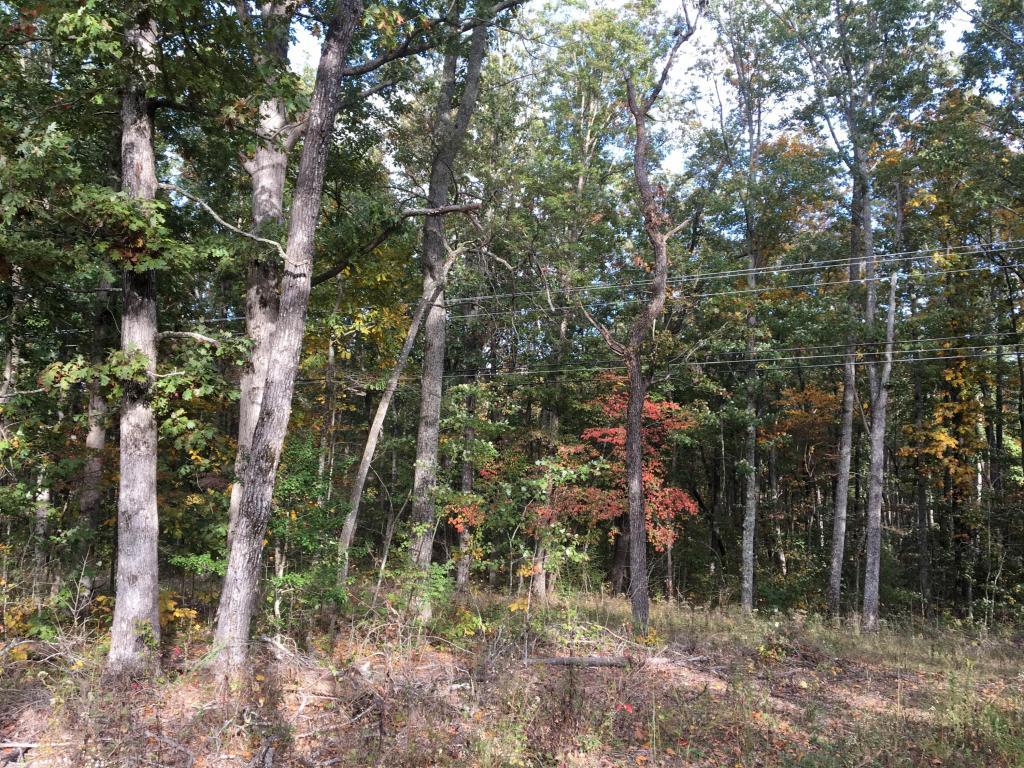 Vandever Rd - Photo 1