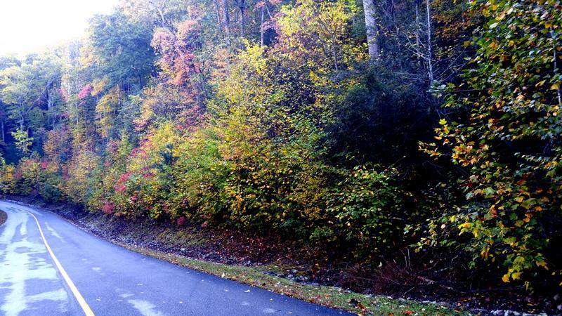 Lot 120 Long Rifle Rd - Photo 1