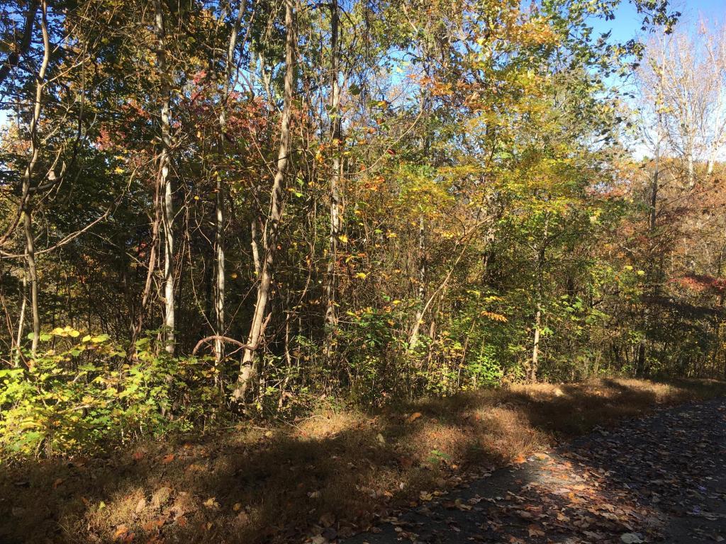 Lot 63 Overlook Trail - Photo 1