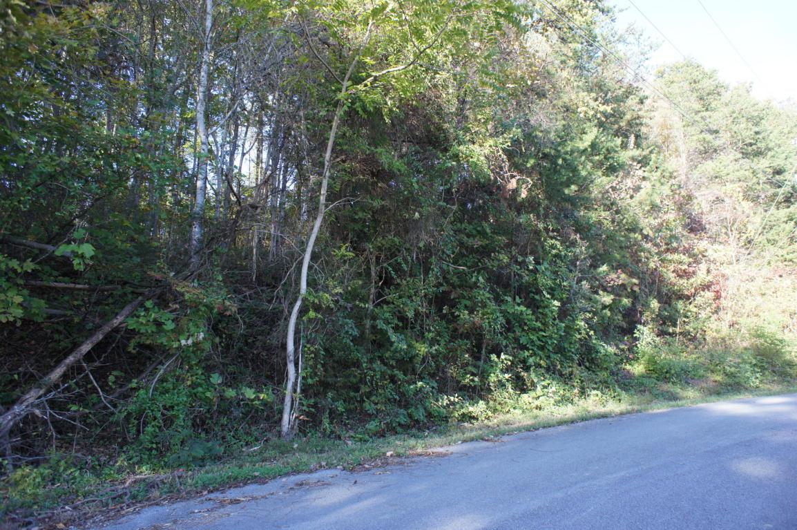 Lot 18 Baker Circle - Photo 1