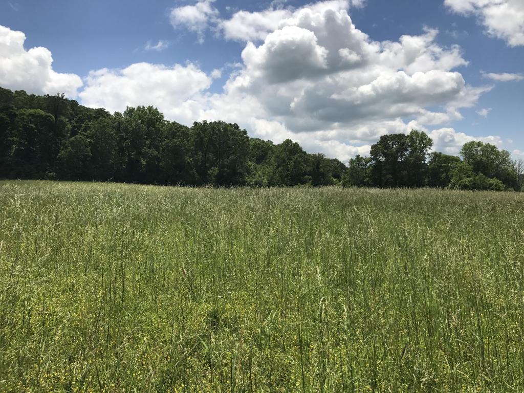 River Rd - Photo 1