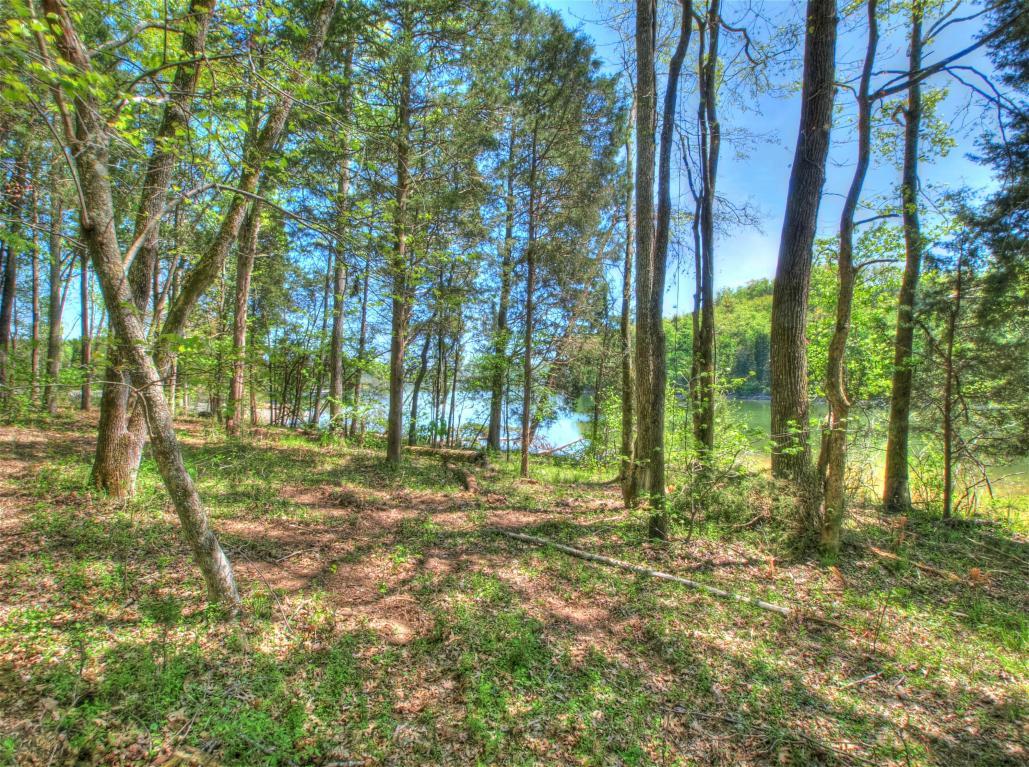 Lot 22 E Shore Drive - Photo 1