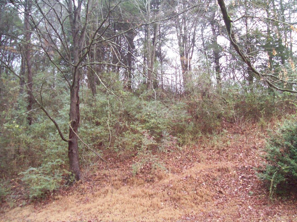 Westel Rd - Photo 1