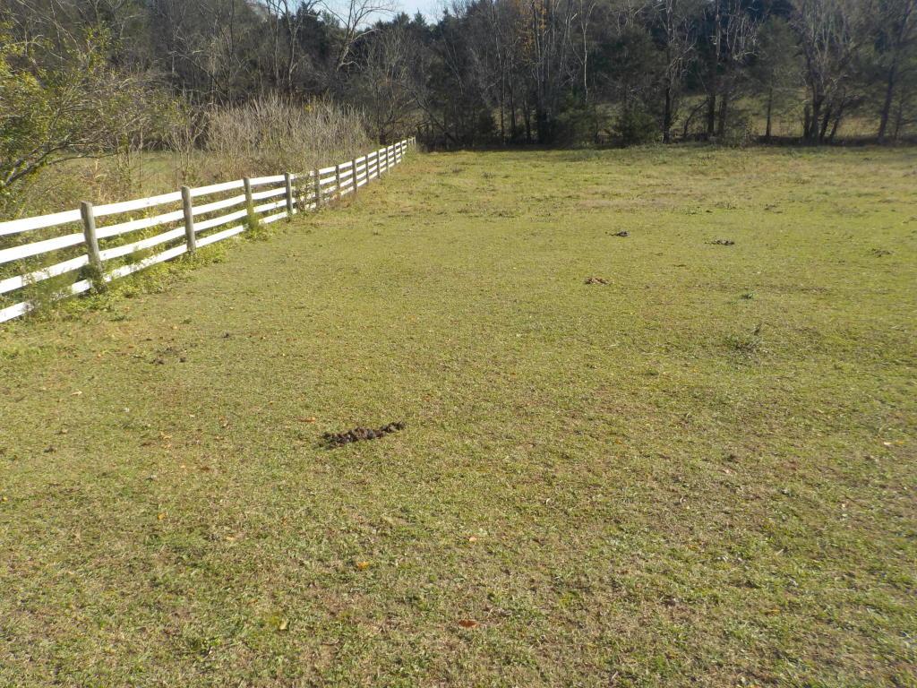 Newman Lane-Old Rutledge Pike - Photo 1