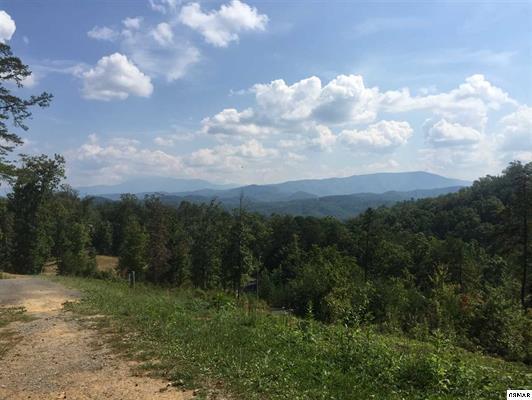 Lot 58 Laughing Pines Lane - Photo 1