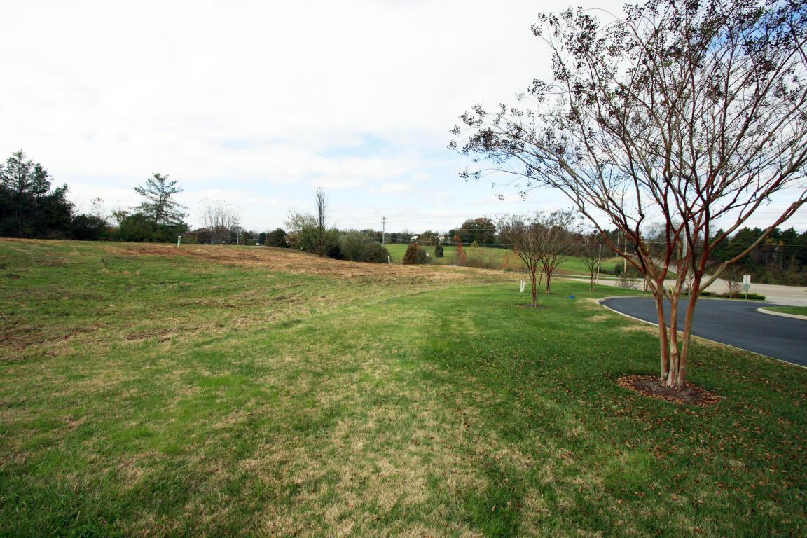 10405 Omari Ridge Way - Photo 1