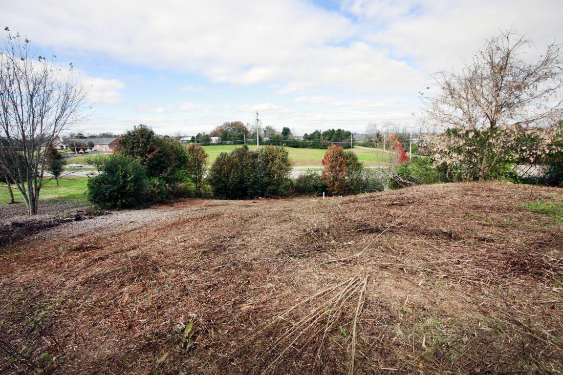 10411 Omari Ridge Way - Photo 1