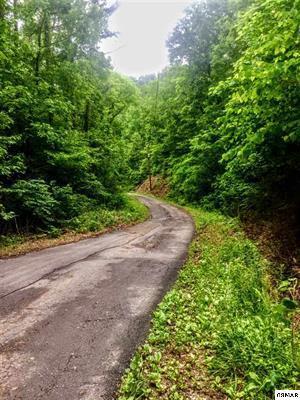 Lot 8 Eagle Pointe Way - Photo 1