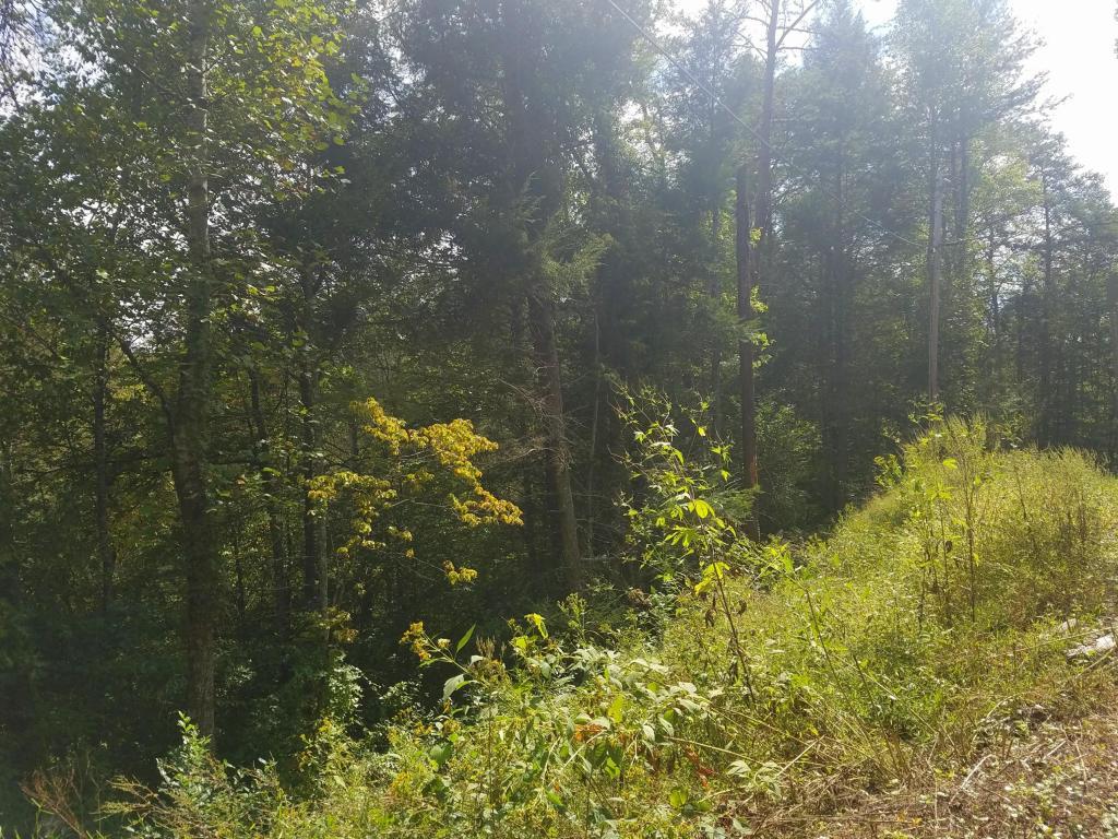 1029 Obes Branch Rd - Photo 1