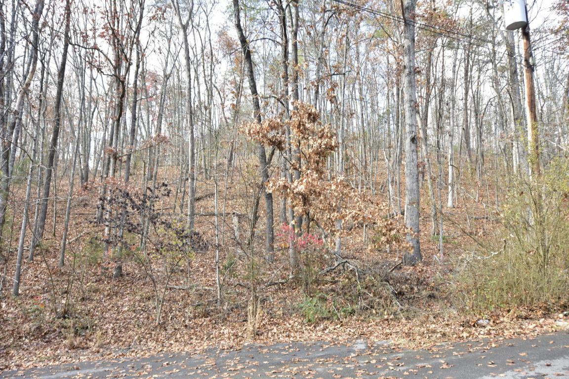 Pleasant Valley Drive - Photo 1
