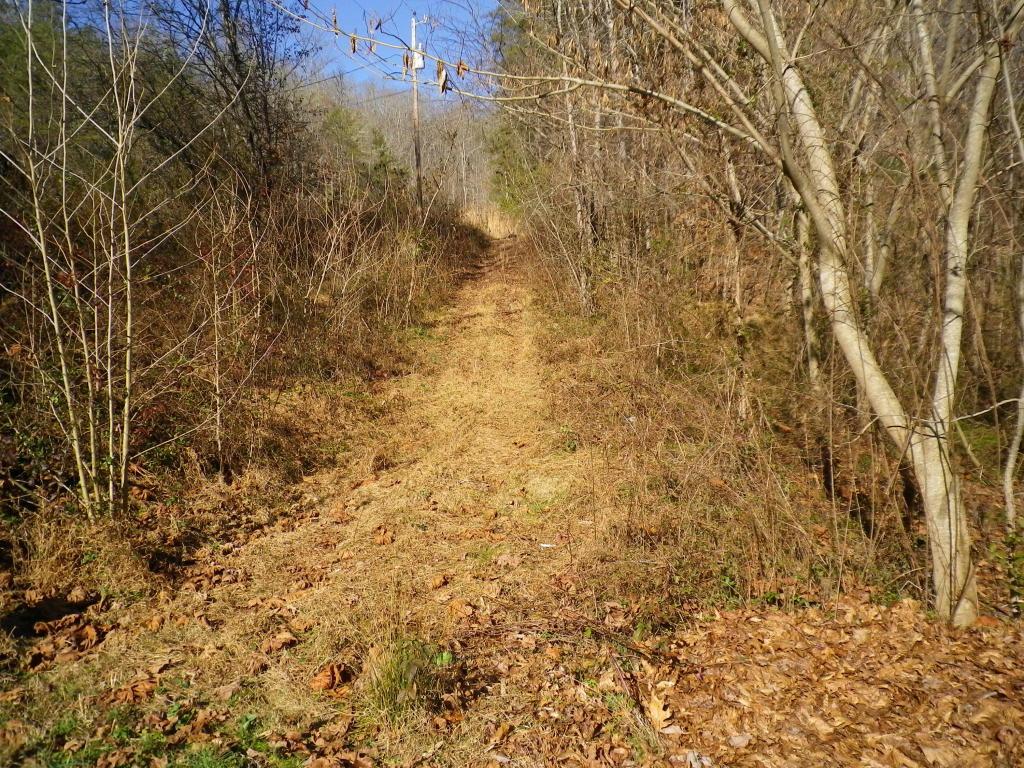 Seivers Lane - Photo 1