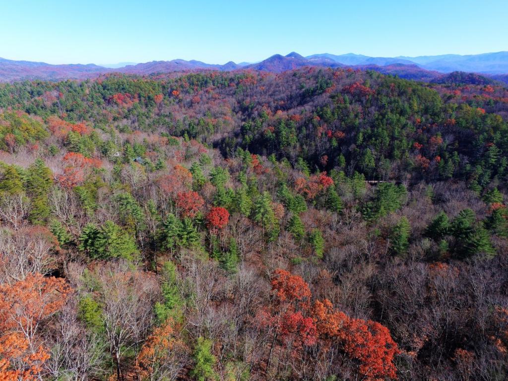 Overlook View Rd - Photo 1