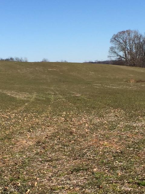 Kiser Station Rd - Photo 1