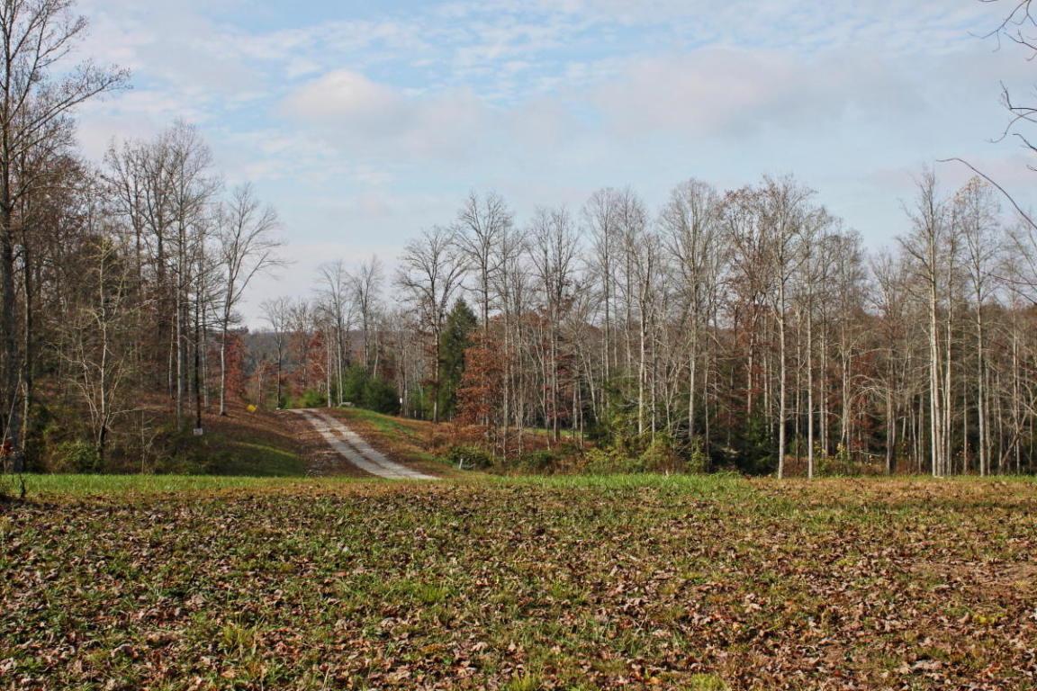 Lot 156 Crouch Branch Lane - Photo 1