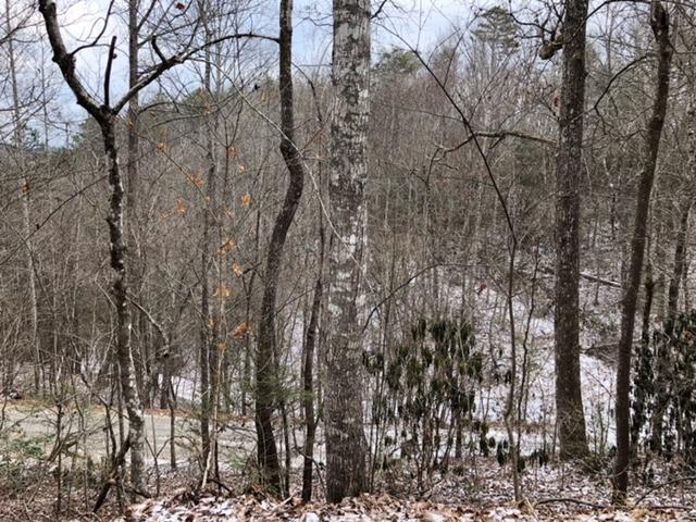 Johns Branch Rd - Photo 1
