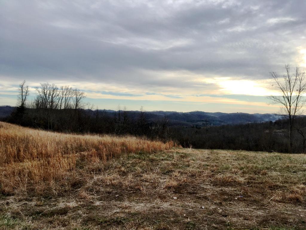Panoramic Drive - Photo 1