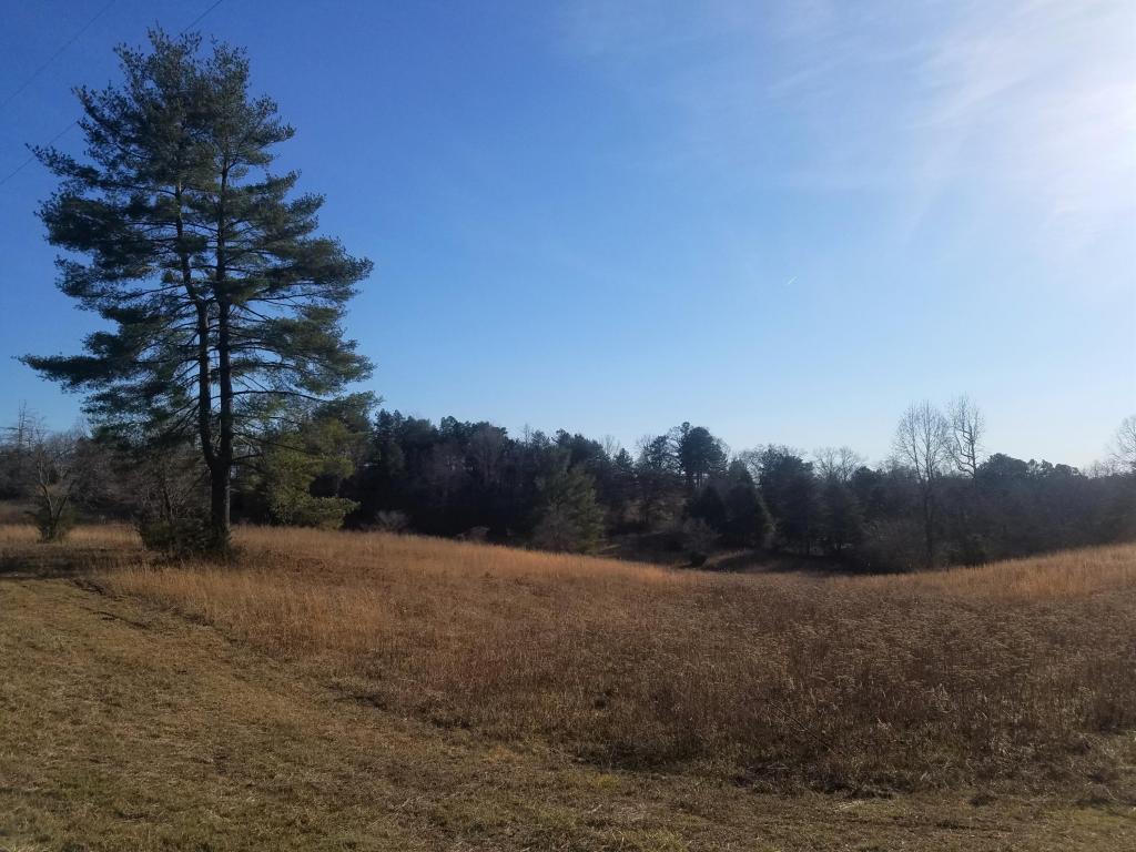 146 Powell Drive - Photo 1